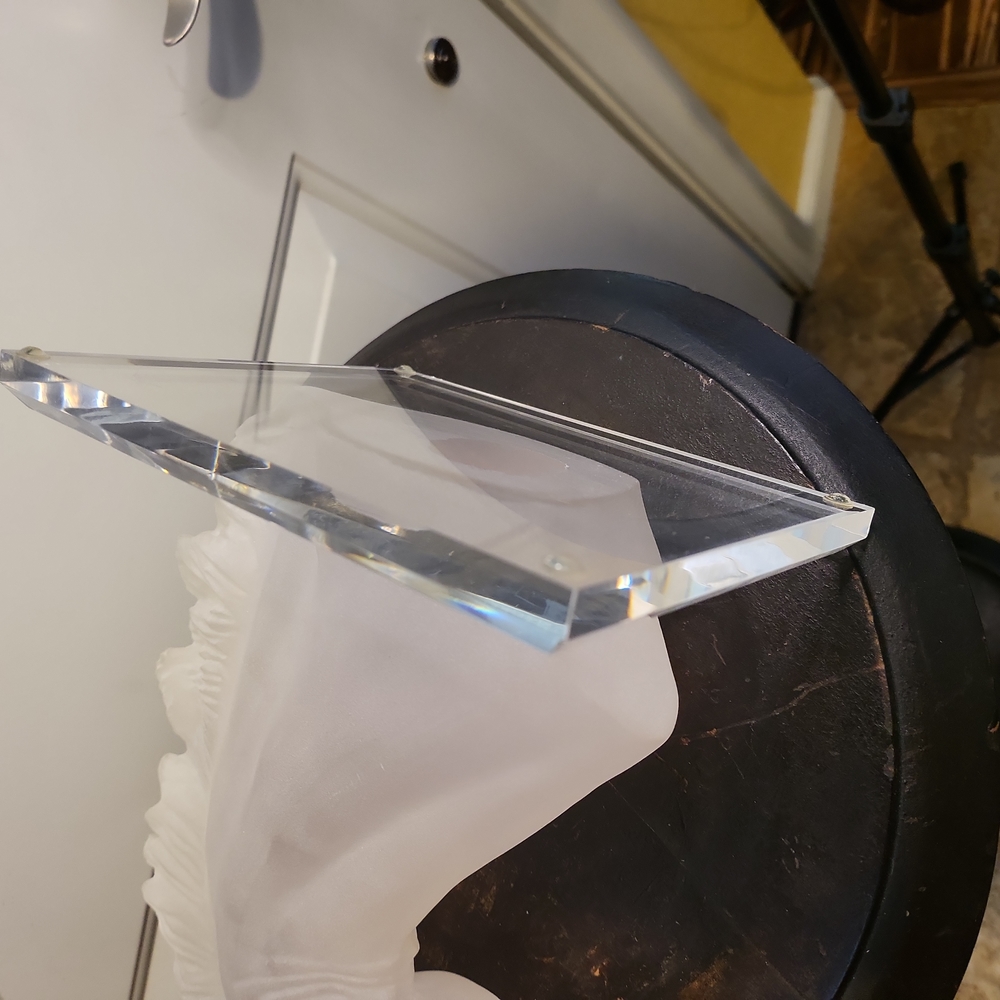 Mid Century Modern Lucite Frosted Horse Head 11" - Picture 8 of 8